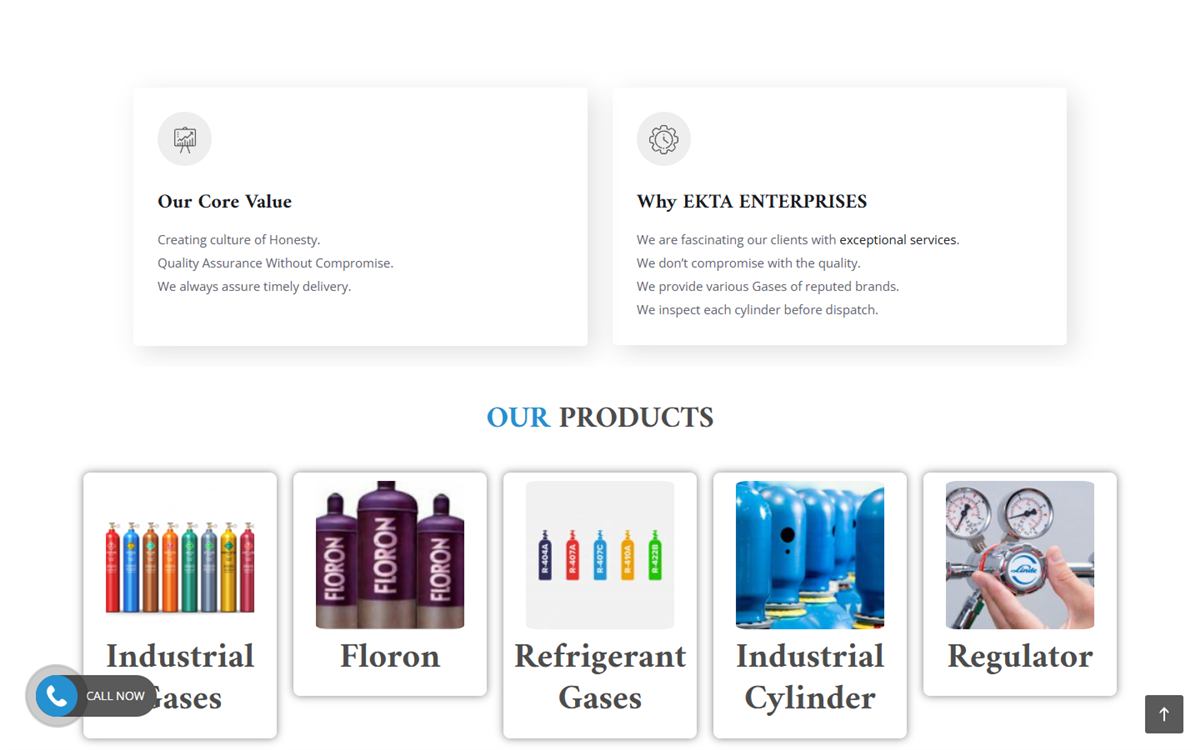 Ekta Enterprises website: core values and products