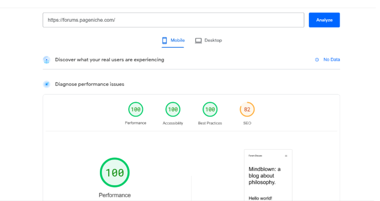 Page Speed Insight Mobile Performance